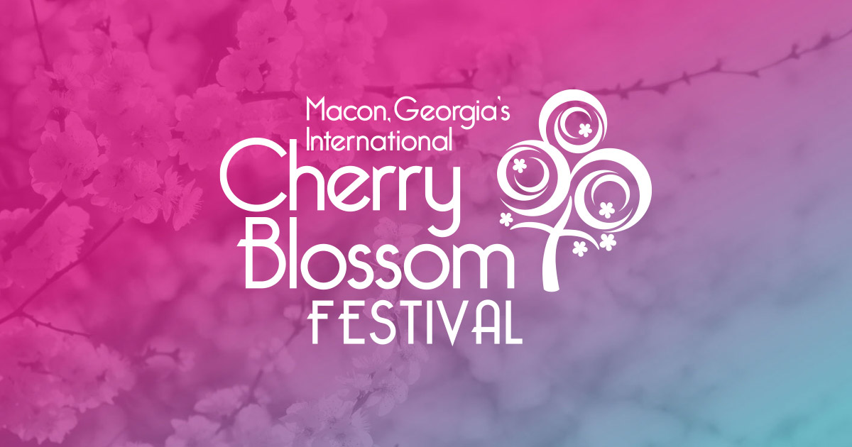 Blooming Beauty Macon Cherry Blossom Festival 2025 Guide