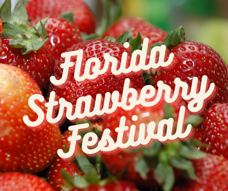 Florida Festivals 2025 A Guide to the Sunshine State's Best Events